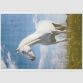 Weißes Pferd 1 Dekoupage Seidenpapier (Vorderseite)