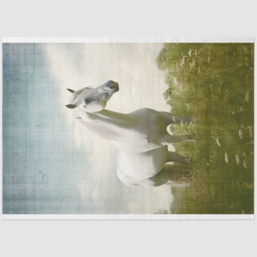 Weißes Pferd 2 Dekoupage Seidenpapier (Vorderseite)