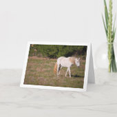 Weißes Pferd auf dem Feld Karte (Vorderseite)