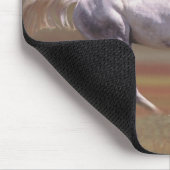 Weißes Pferd auf dem Feld Mousepad (Ecke)