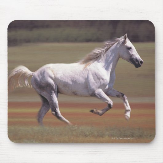 Weißes Pferd auf dem Feld Mousepad (Vorne)