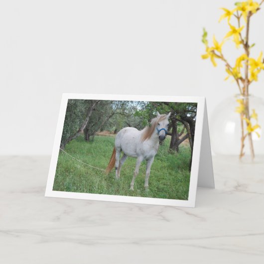 Weißes Pferd auf dem Grasfeld Karte (Gelbe Blume)