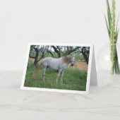 Weißes Pferd auf dem Grasfeld Karte (Vorderseite)