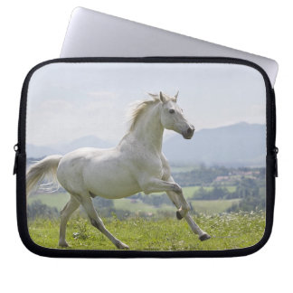 Weißes Pferd auf Wiese Laptopschutzhülle