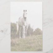 Weißes Pferd Briefpapier (Vorderseite)