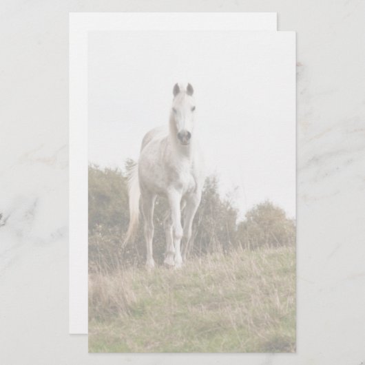 Weißes Pferd Briefpapier (Vorne/Hinten)