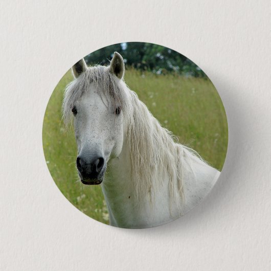 Weißes Pferd Button (Vorderseite)