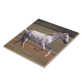 Weißes Pferd, das in Feld läuft Fliese (Seite)