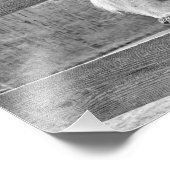 Weißes Pferd Fotodruck (Ecke)