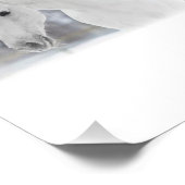 Weißes Pferd Fotodruck (Ecke)