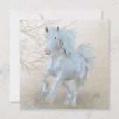 Weißes Pferd - Grußkarte Feiertagskarte (Vorderseite)