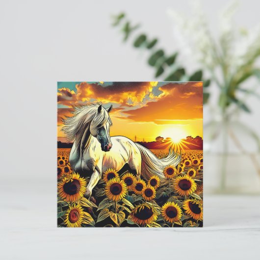 Weißes Pferd im Feld der Sonnenblumen bei Sonnenun (Stehend Vorderseite)