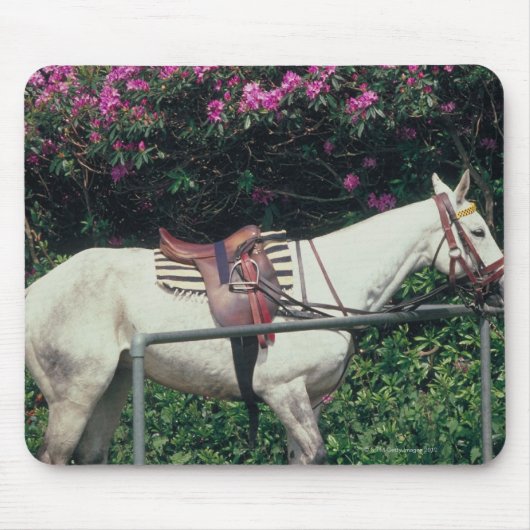 Weißes Pferd im Garten Mousepad (Vorne)