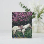 Weißes Pferd im Garten Postkarte (Stehend Vorderseite)