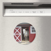 Weißes Pferd im Roten Stall Magnet (In Situ (Geschirrspüler))