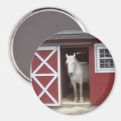Weißes Pferd im Roten Stall Magnet (Vorderseite/Rückseite)