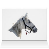 Weißes Pferd im Schnee (Innenansicht Horizontal (Oben))