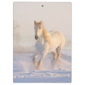 weißes Pferd im Schnee Klemmbrett (Rückseite)