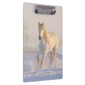 weißes Pferd im Schnee Klemmbrett (Rechts)