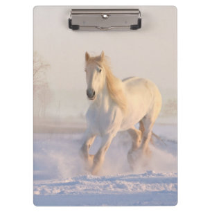 weißes Pferd im Schnee Klemmbrett