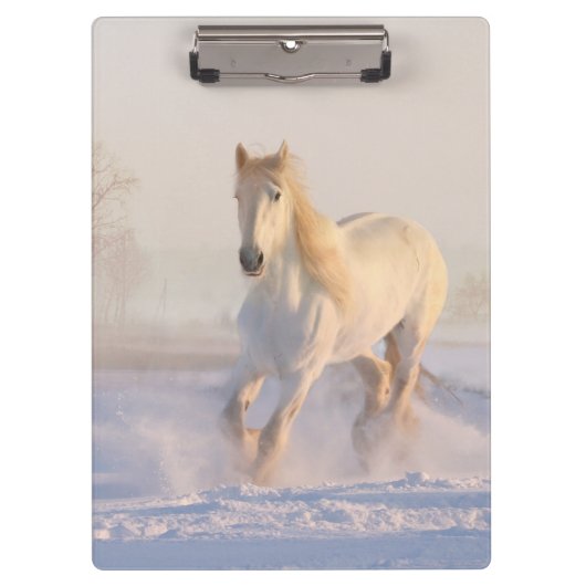 weißes Pferd im Schnee Klemmbrett (Vorderseite)