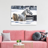 Weißes Pferd im Schnee Leinwanddruck (Insitu (Wohnzimmer))