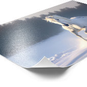 Weißes Pferd im Schnee, Pferde, Winter Fotodruck (Ecke)