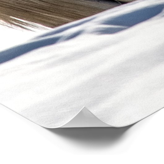 Weißes Pferd im Schnee Poster (Ecke)