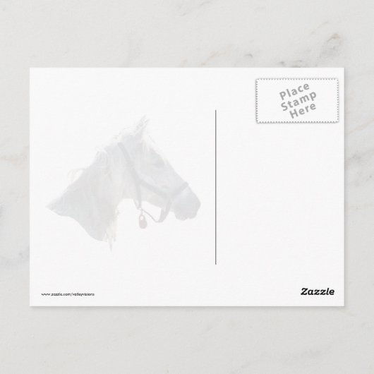 Weißes Pferd im Schnee Postkarte (Rückseite)