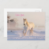 weißes Pferd im Schnee Postkarte (Vorne/Hinten)