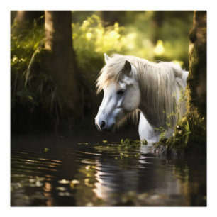 Weißes Pferd im Teich Fotodruck