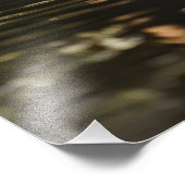 Weißes Pferd im Teich Fotodruck (Ecke)
