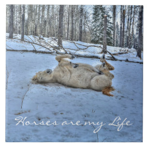 Weißes Pferd im Winterschnee Fliese