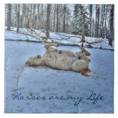 Weißes Pferd im Winterschnee Fliese (Vorderseite)