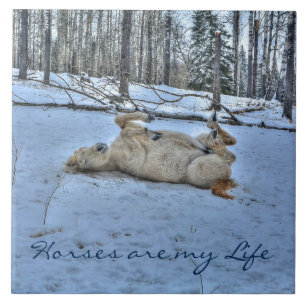 Weißes Pferd im Winterschnee Fliese