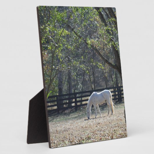 Weißes Pferd in Bäumen Fotoplatte (Seite)