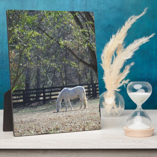 Weißes Pferd in Bäumen Fotoplatte (Seite)