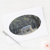 Weißes Pferd in Bäumen Ovaler Aufkleber (Umschlag)