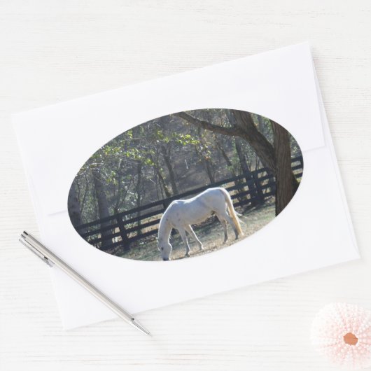 Weißes Pferd in Bäumen Ovaler Aufkleber (Umschlag)