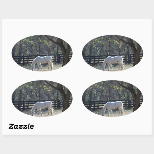 Weißes Pferd in Bäumen Ovaler Aufkleber (Blatt)