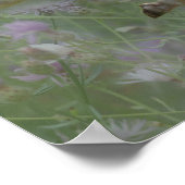 Weißes Pferd in Blume Poster (Ecke)