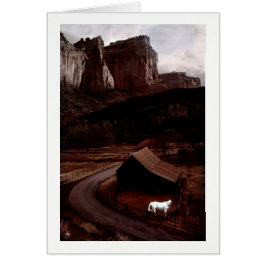 Weißes Pferd in einem malerischen Canyon