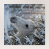 Weißes Pferd in schneebedecktem Kiefernbaum Puzzle (Horizontal)