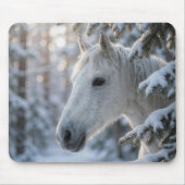Weißes Pferd in schneebedeckter Kiefer Mousepad (Vorne)