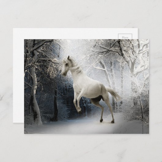 Weißes Pferd in Schneewinterlandschaft Postkarte (Vorne/Hinten)
