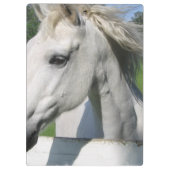 Weißes Pferd Klemmbrett (Rückseite)