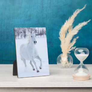 Weißes Pferd läuft im Schnee Fotoplatte