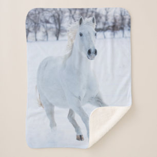 Weißes Pferd läuft im Schnee Sherpadecke