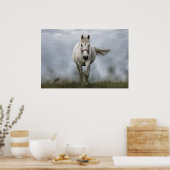 Weißes Pferd läuft Poster (Küche)