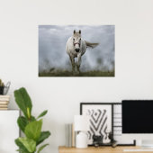 Weißes Pferd läuft Poster (Heimbüro)